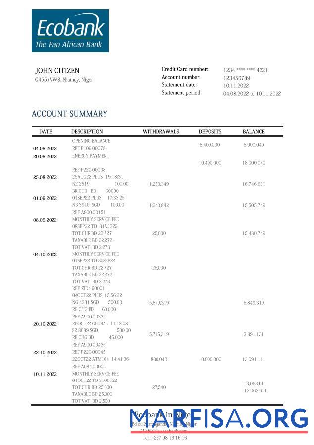 Blank Niger Ecobank bank statement word sample